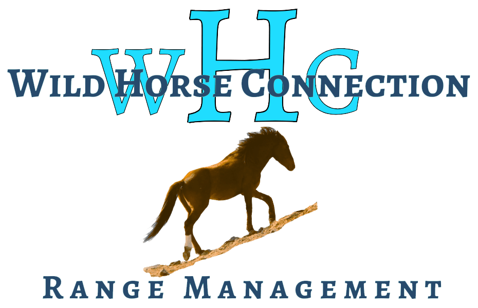 Wild Horse Connection